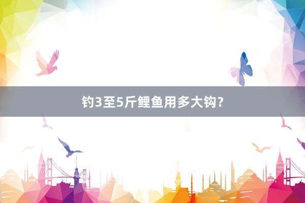 钓3至5斤鲤鱼用多大钩？